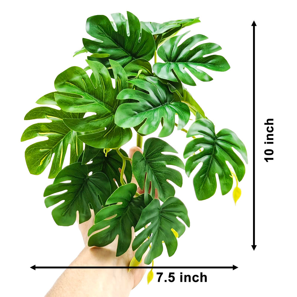 Woyrise reptile plants close-up shows detailed texture for a realistic look.