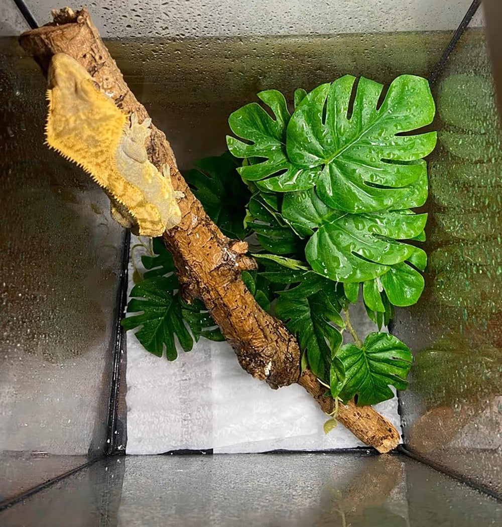 Woyrise reptile plants monstera leaves add natural-looking greenery to enrich enclosures.