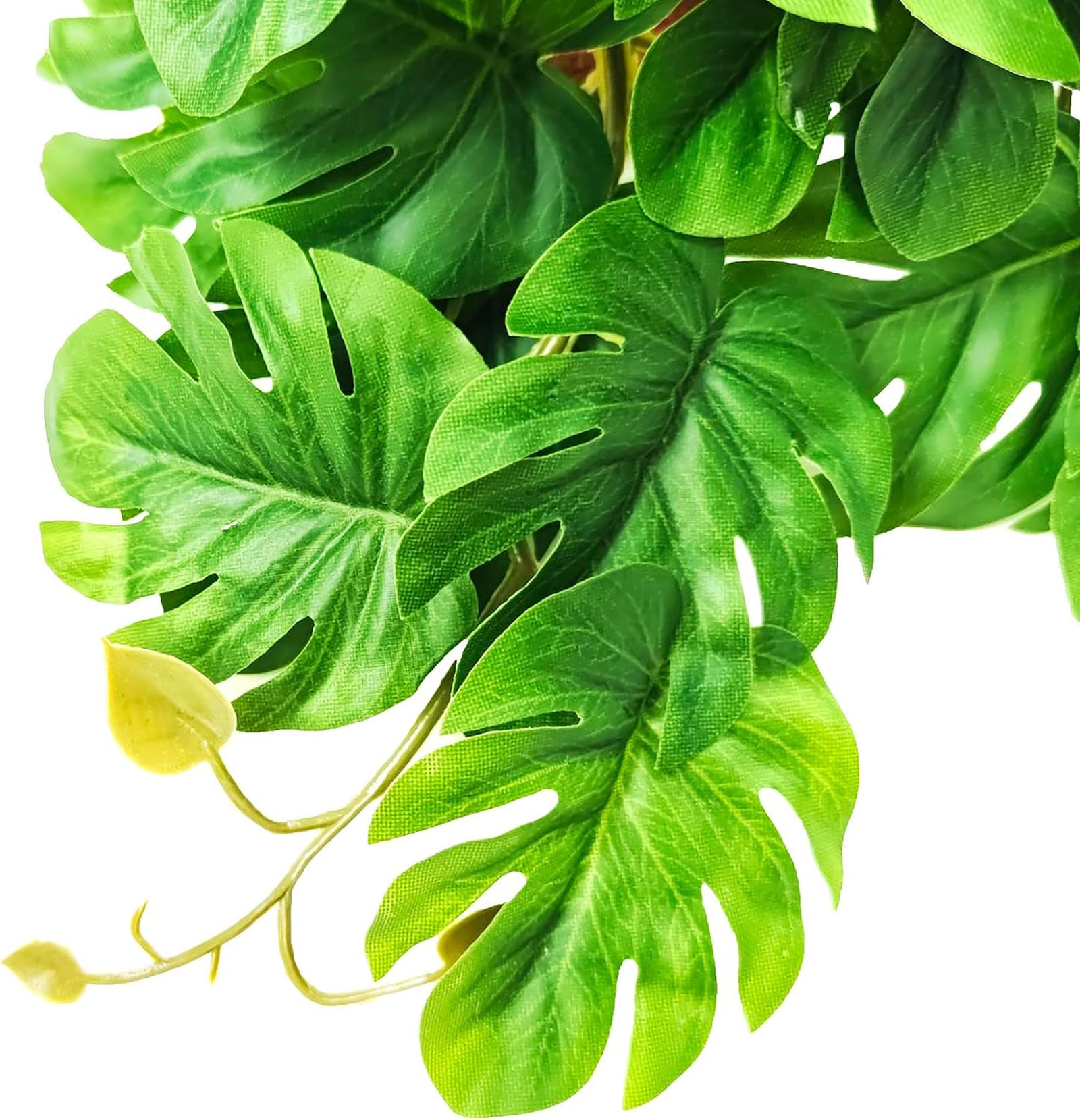 Woyrise reptile plants safe material keeps terrarium décor non-toxic for pets.