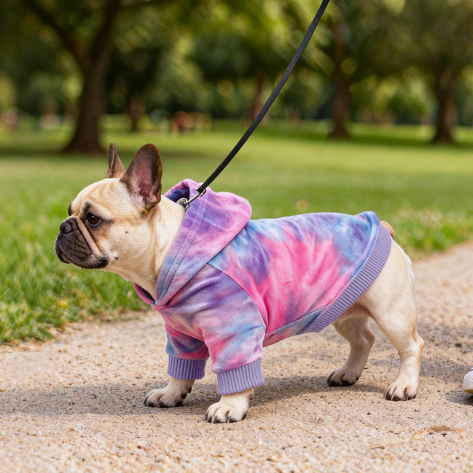 WOYYHO tie-dye dog hoodie velvet-soft fabric resists wear
