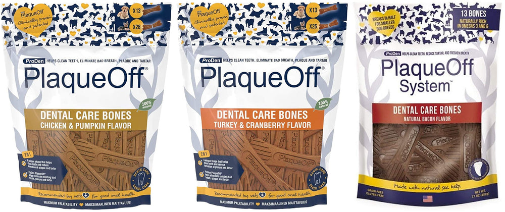 WPARHUS ProDen PlaqueOff bundle chicken-pumpkin bone chews promoting dental care.