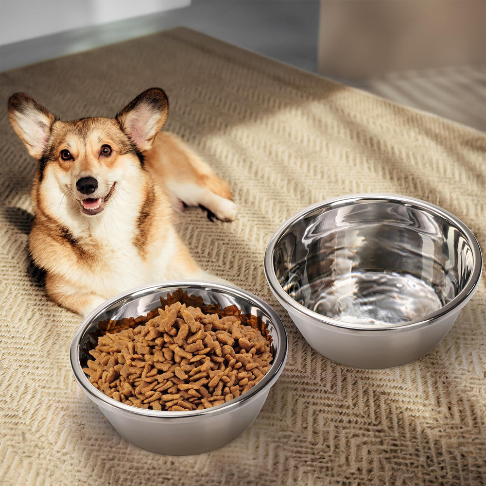 WRINGKIT dual-bowl set close-up shows sturdy construction and smooth interior.