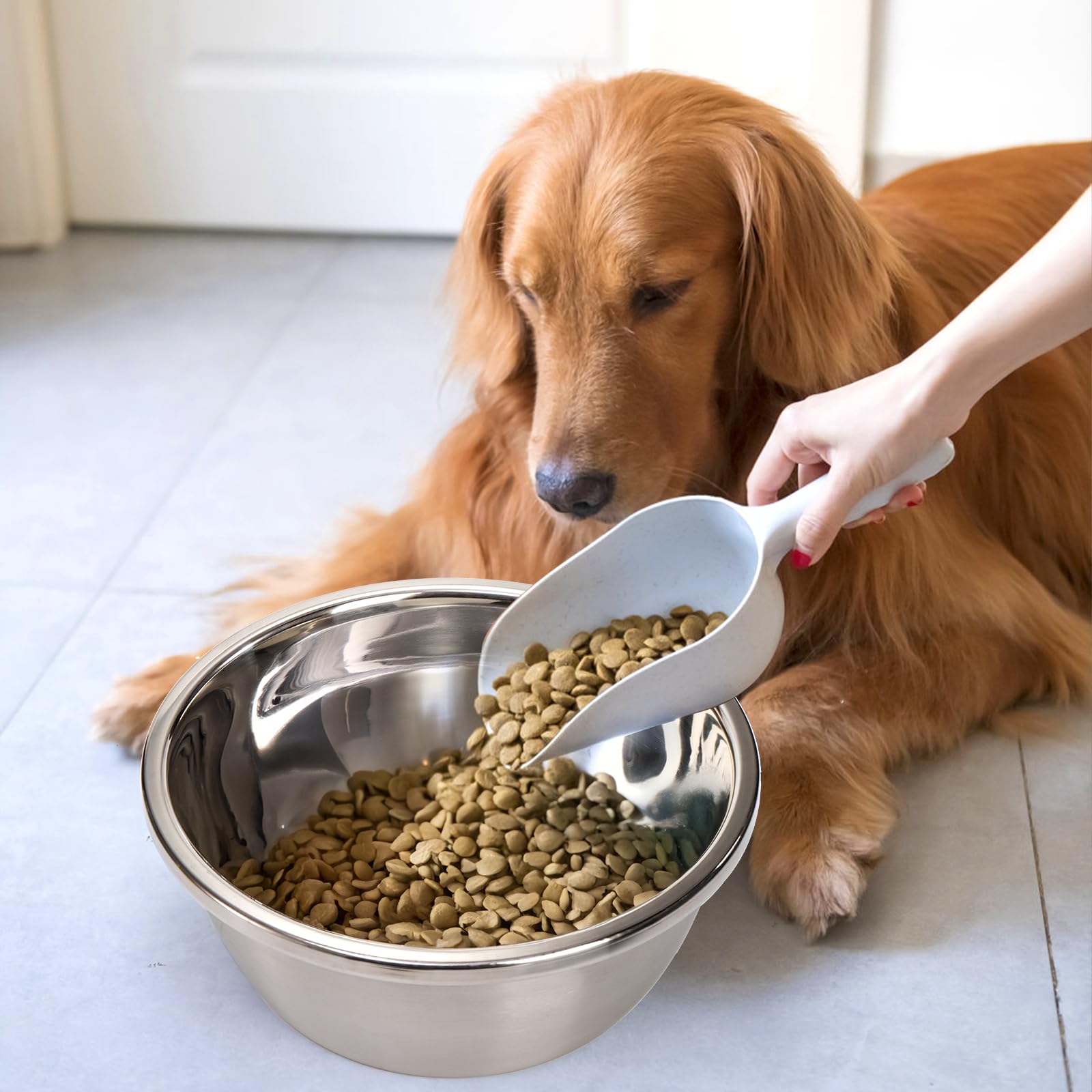 WRINGKIT easy-clean bowls with smooth interior resist residue.