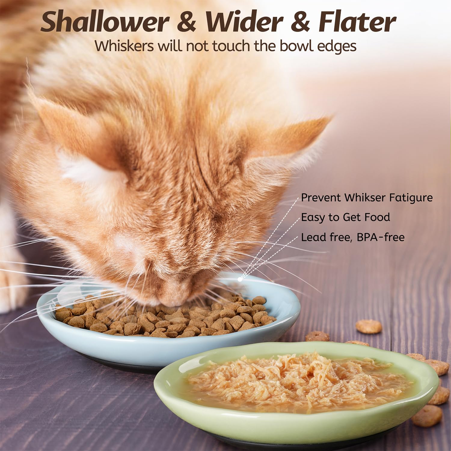 WROSWT multi-use cat dishes work for wet food, dry food, water, and snacks.