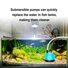 WUCIOOO aquarium setup with pump demonstrates stable circulation