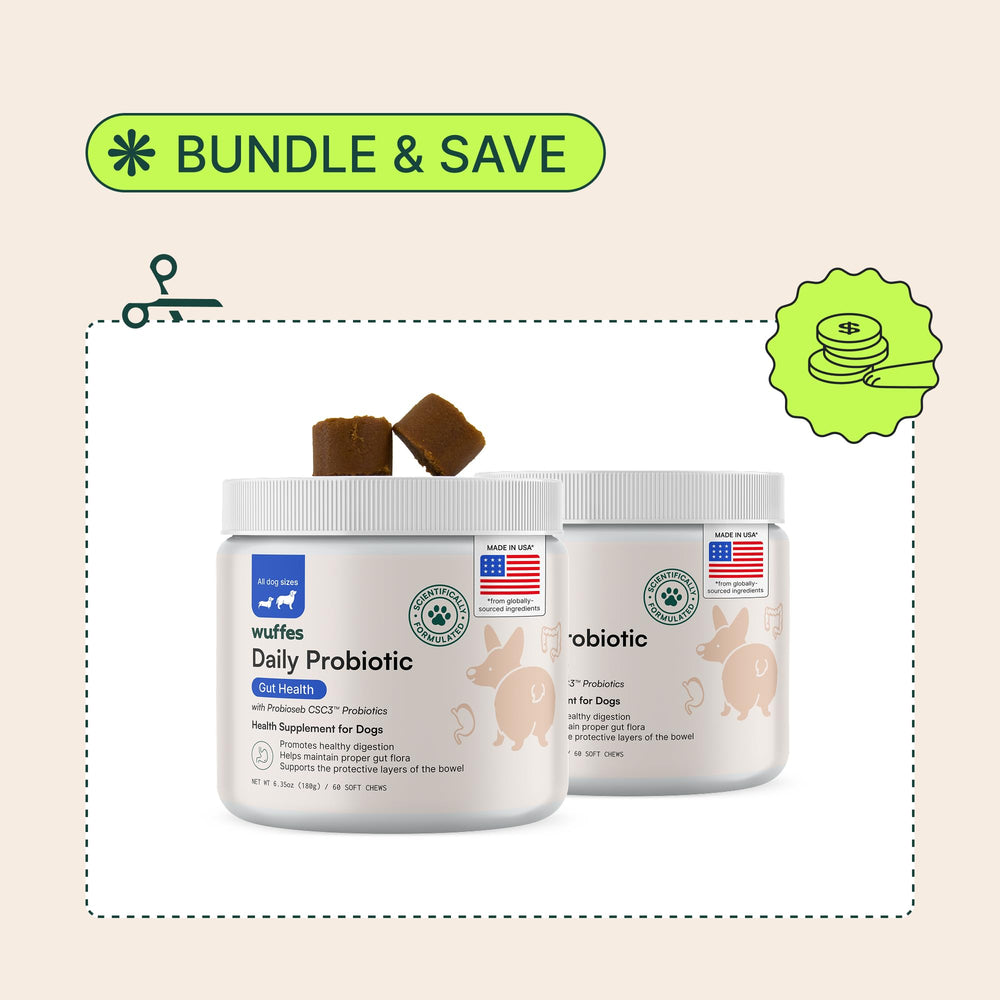Wuffes Daily Probiotic dog-eating-chew demonstrates easy-to-serve daily routine