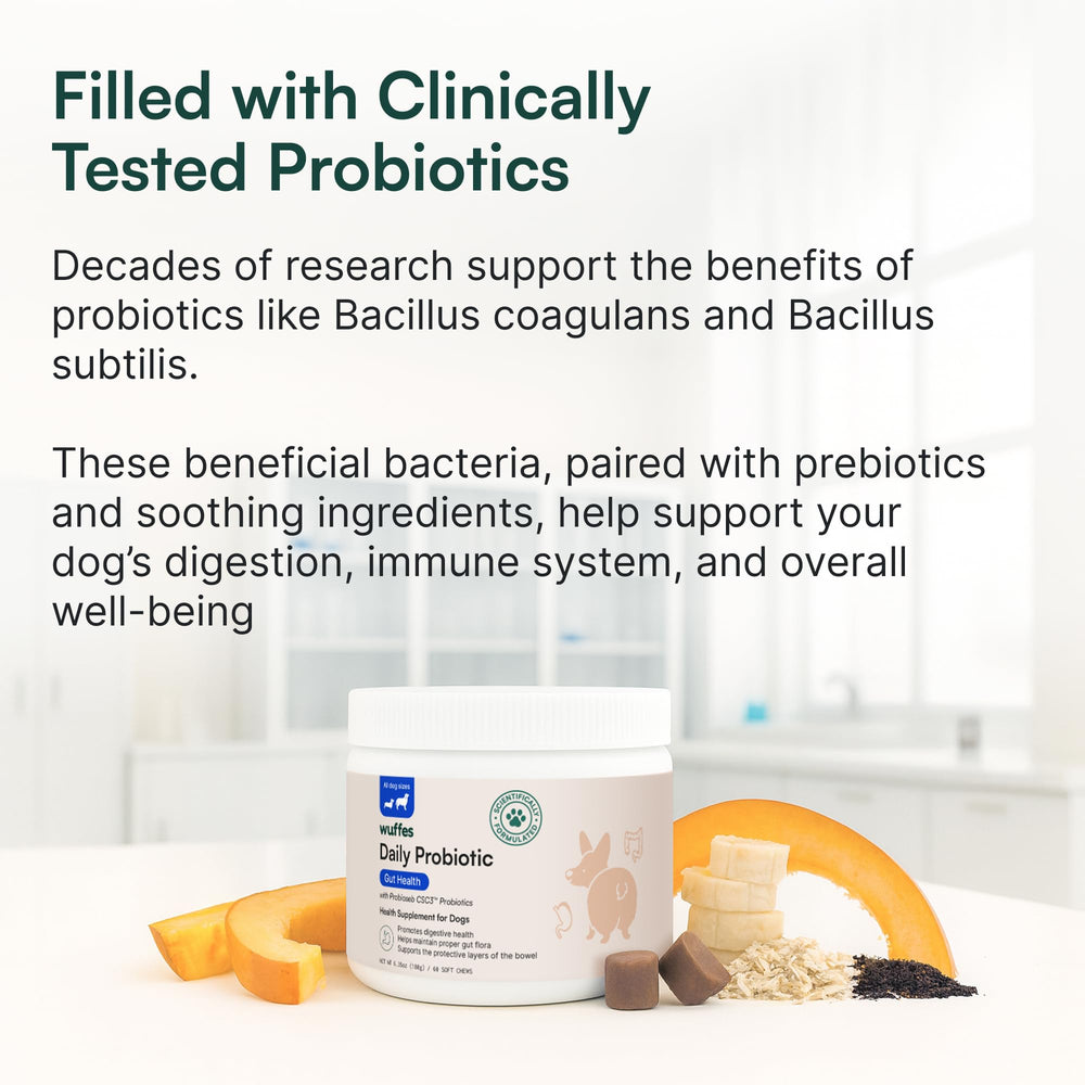 Wuffes Daily Probiotic for Dogs treat-dispense image demonstrates easy administration.