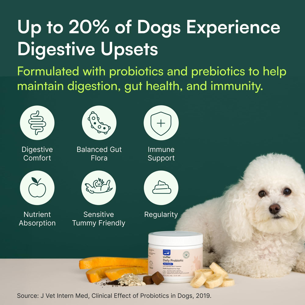Wuffes Daily Probiotic prebiotics quality shot underscores gut-friendly nourishment