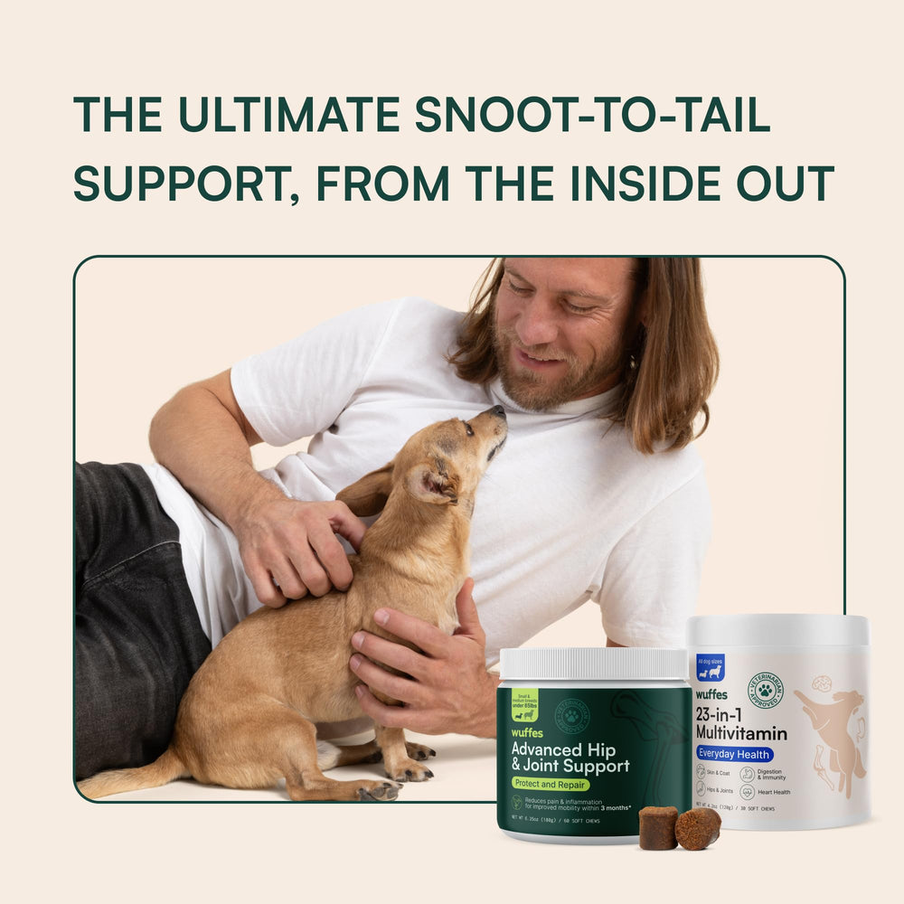 Wuffes dog skin coat digestive support closeup highlights ingredients