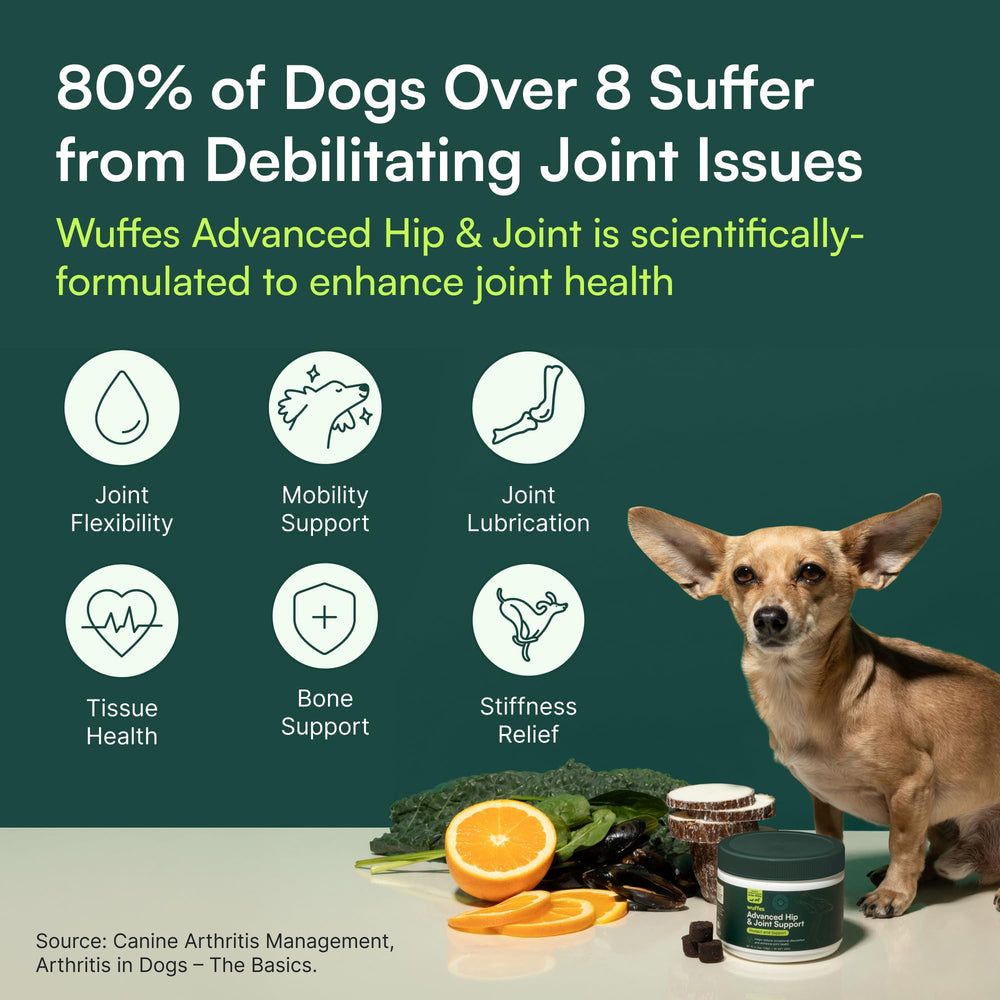Wuffes chews shown for small breed mobility support during daily activities