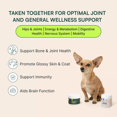Wuffes hip joint support chews closeup shows texture and palatability