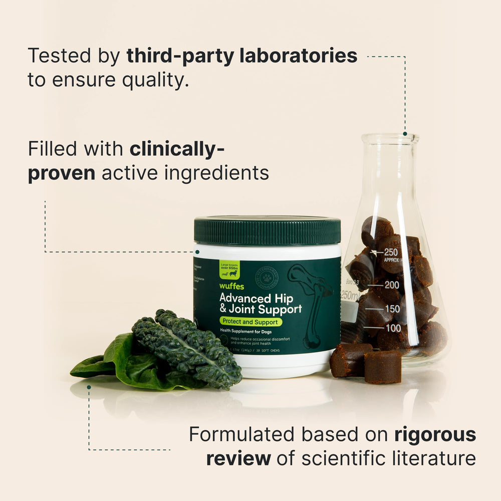 Wuffes glucosamine and chondroitin ingredients visual underscoring cartilage maintenance benefits.
