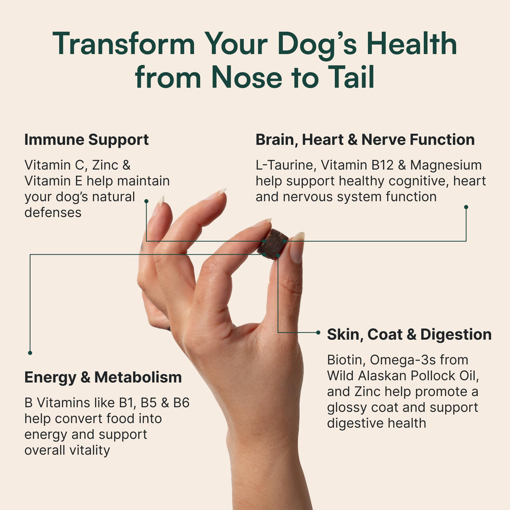 Wuffes skin and coat shine close-up for glossy fur and healthy skin