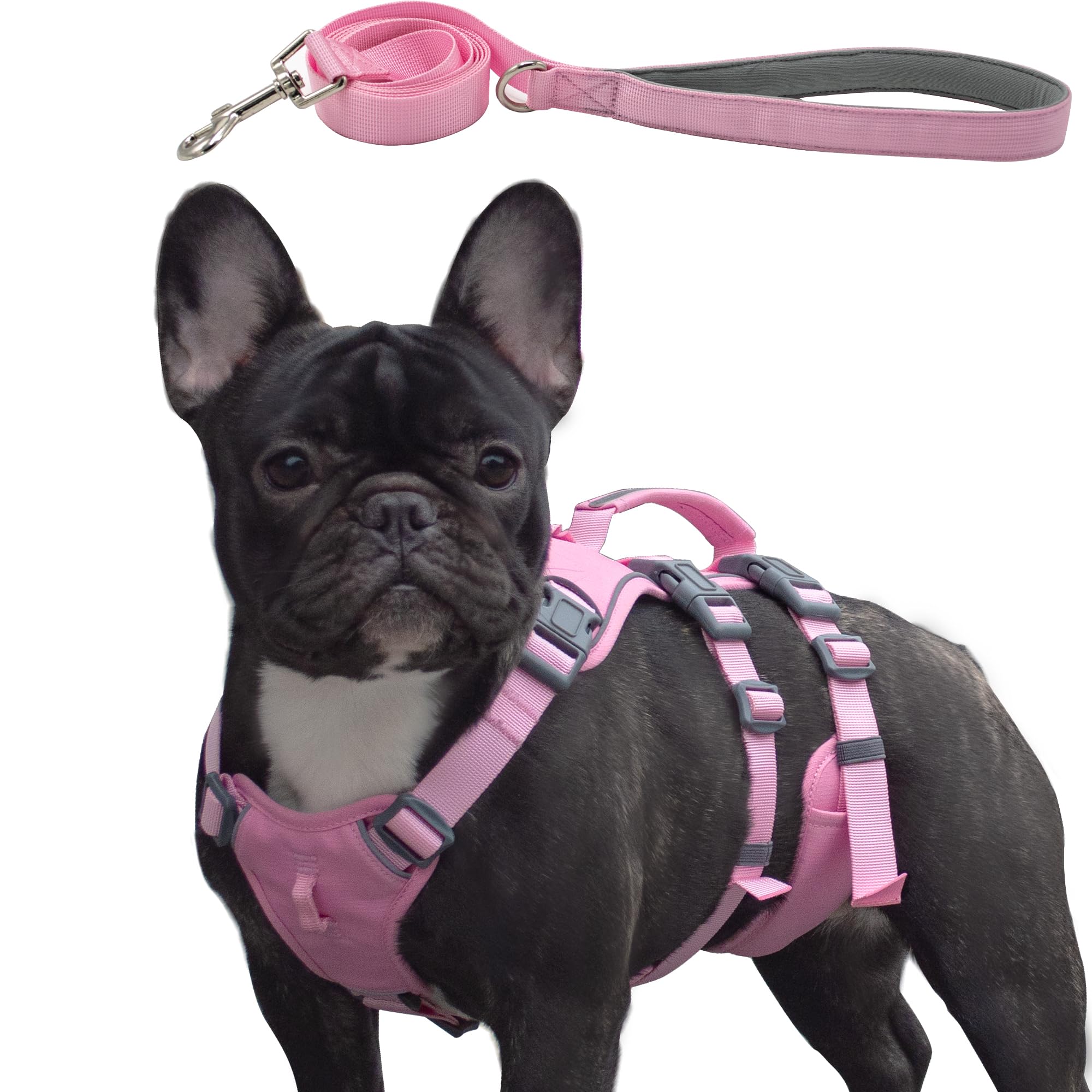 Wuffley escape-proof harness close-up with secure pink buckle for safe daily walks