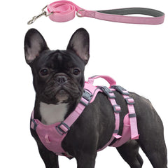 Wuffley escape-proof harness close-up with secure pink buckle for safe daily walks