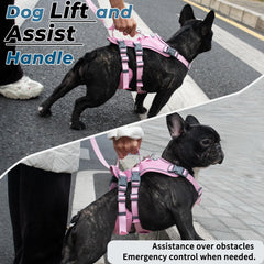 Wuffley harness five adjustment points for a perfect fit
