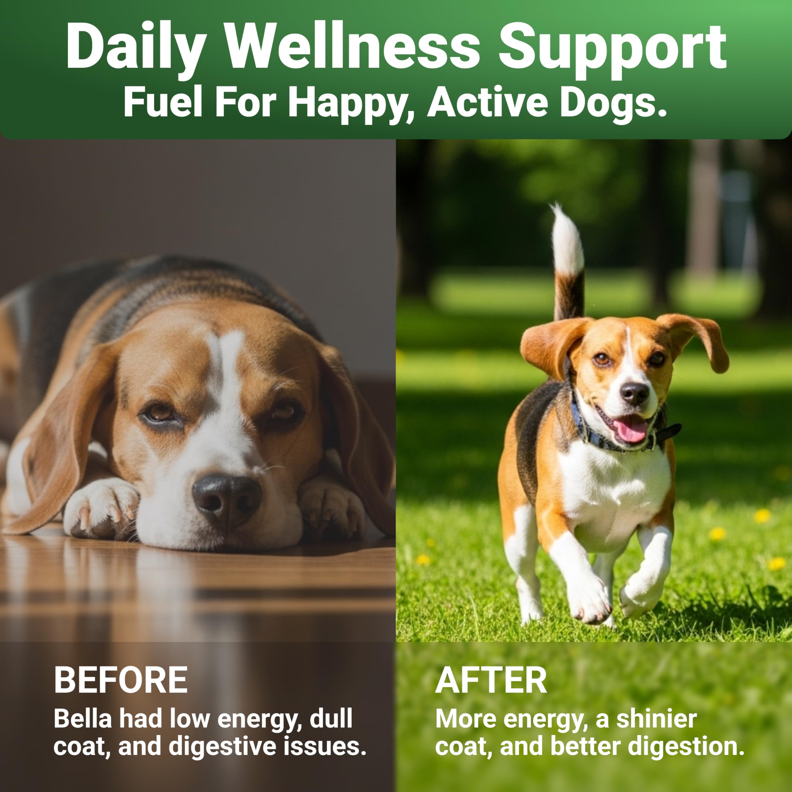 WuffWell glucosamine joint-support scoop—supports comfortable movement.