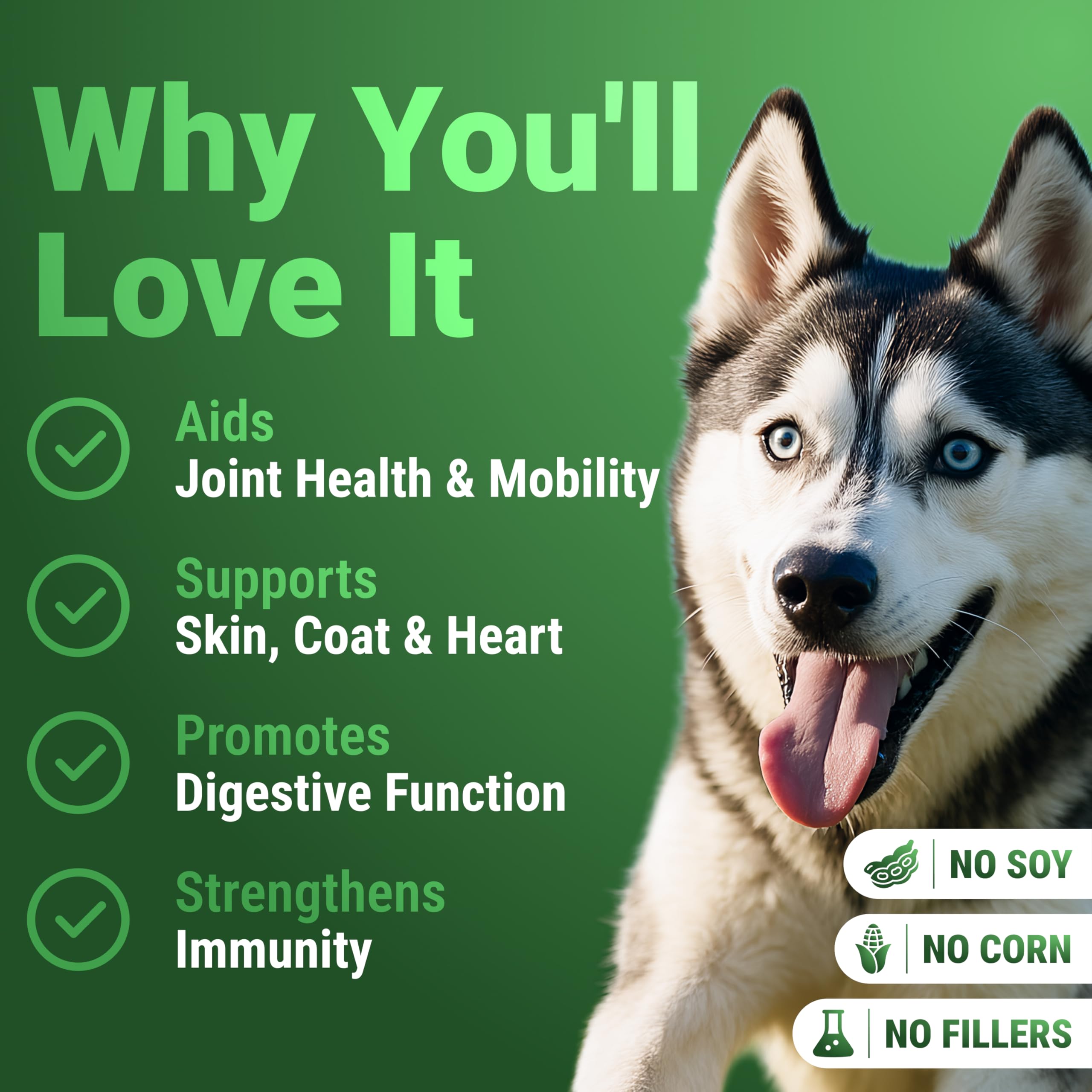 WuffWell spirulina powder tub—antioxidant-rich supplement.