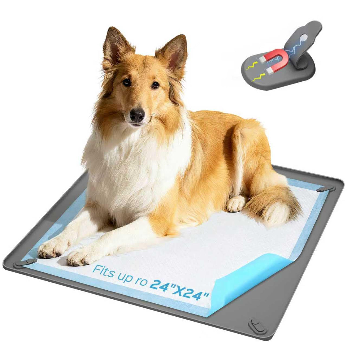 Wuquperf pee pad holder with magnetic clamps keeps pads flat for secure training sessions.