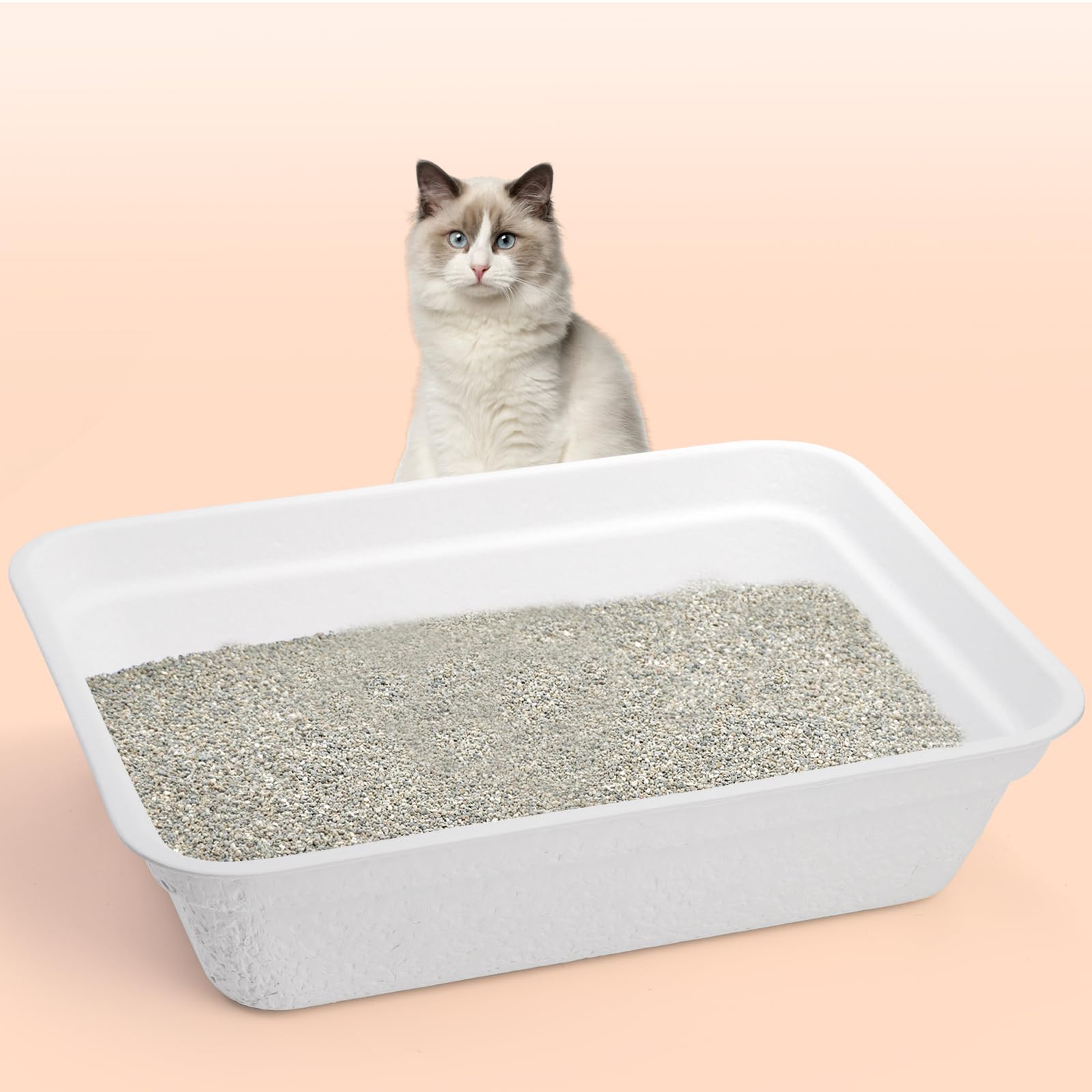 WUWEOT multi-pet use configuration illustrates suitability for small animals.