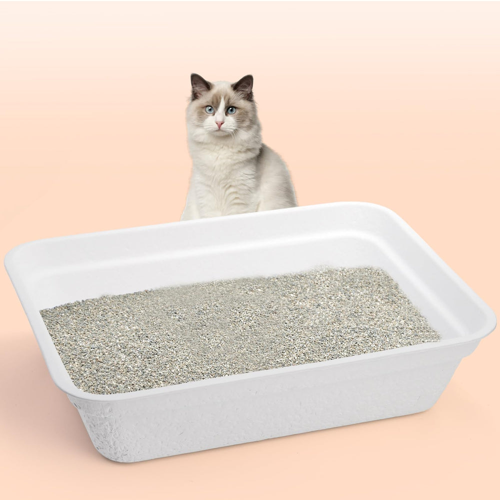 WUWEOT multi-pet use configuration illustrates suitability for small animals.