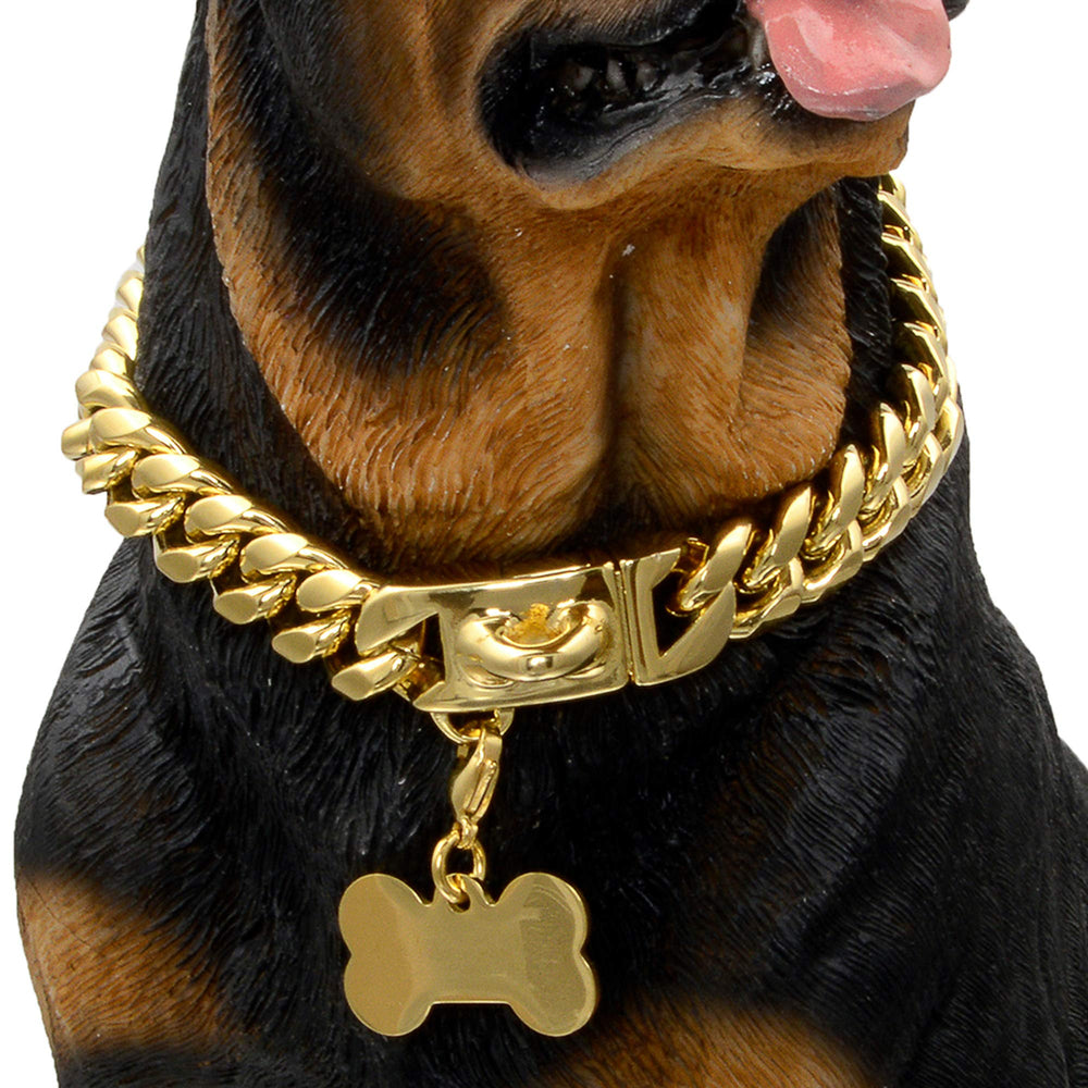 W/W Lifetime gold dog chain collar buckle close-up showing secure walking design