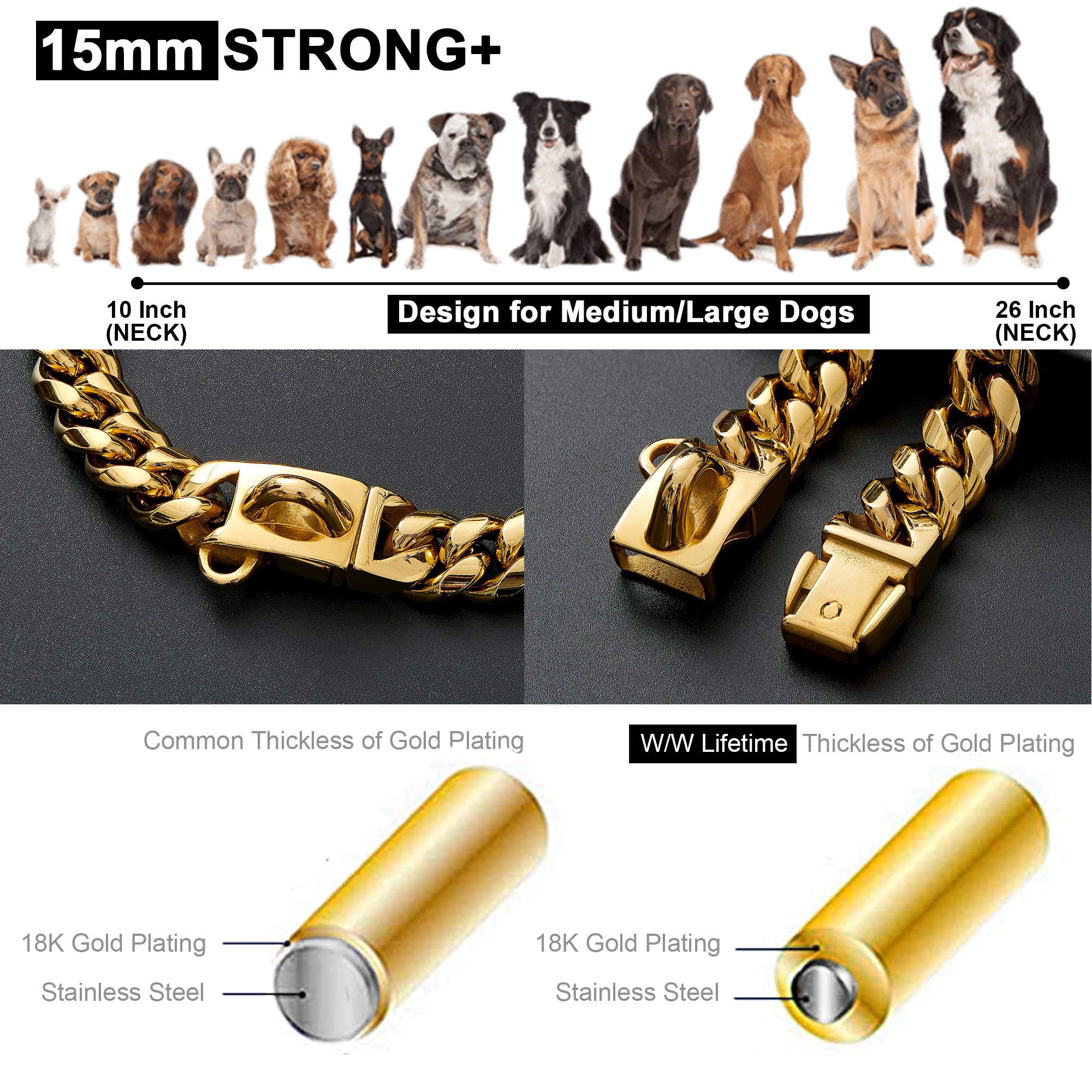 W/W Lifetime welded D-ring leash attachment for secure tags and leash