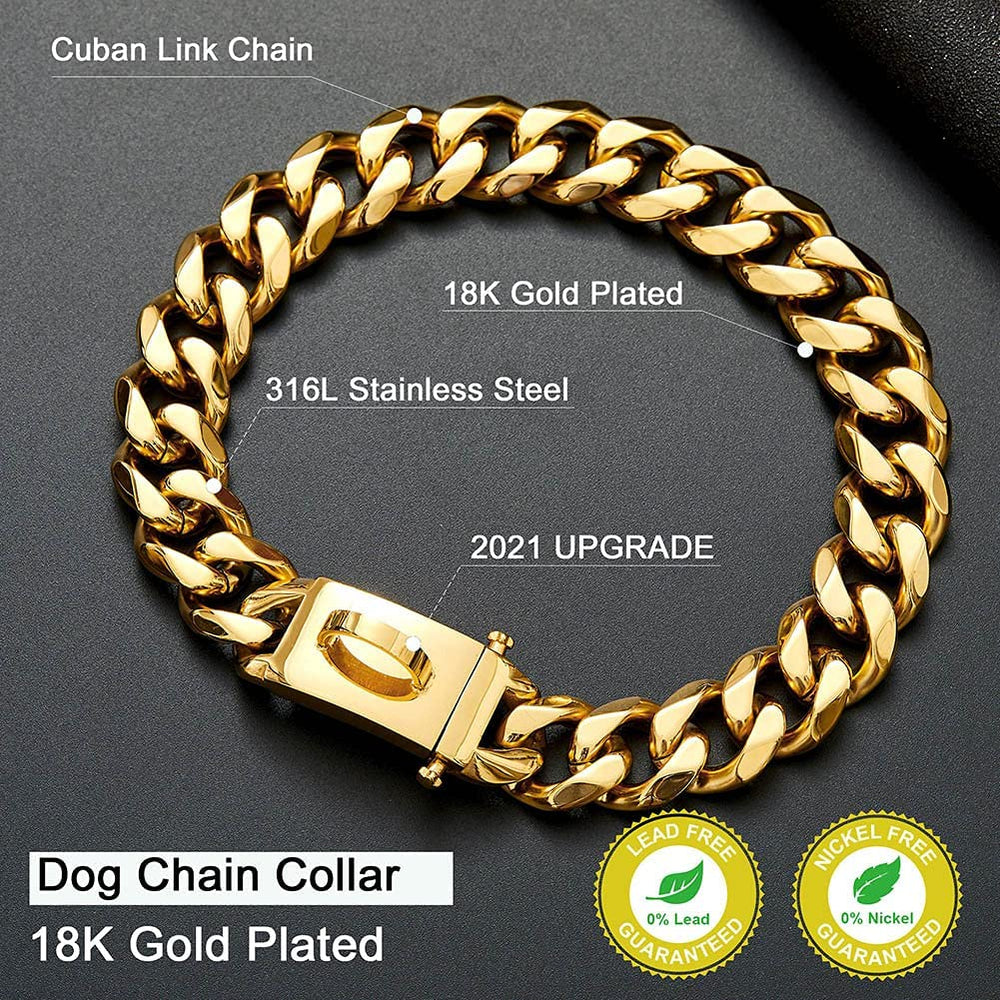 W/W Lifetime 19MM width collar close-up emphasizes sturdy, chew-prone dog compatibility.