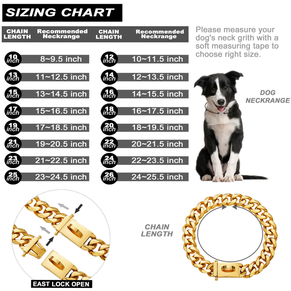 W/W Lifetime worn dog wearing gold chain collar during walk highlights style and comfort.