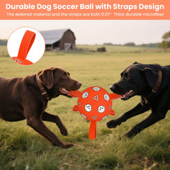 WYNTRIUM ball prints featuring dogs, cats, bones ideal for family-friendly play.
