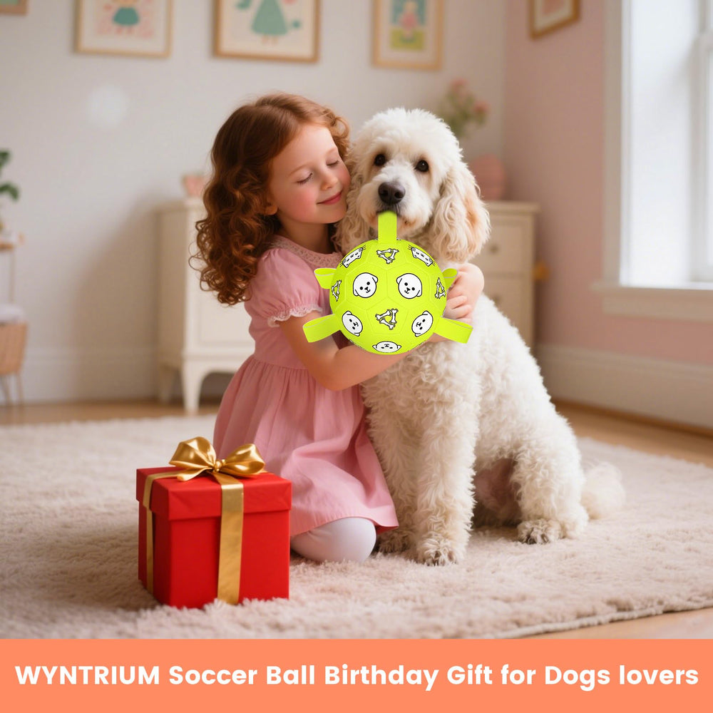 WYNTRIUM 6-inch ball fits small and medium dogs during active sessions.