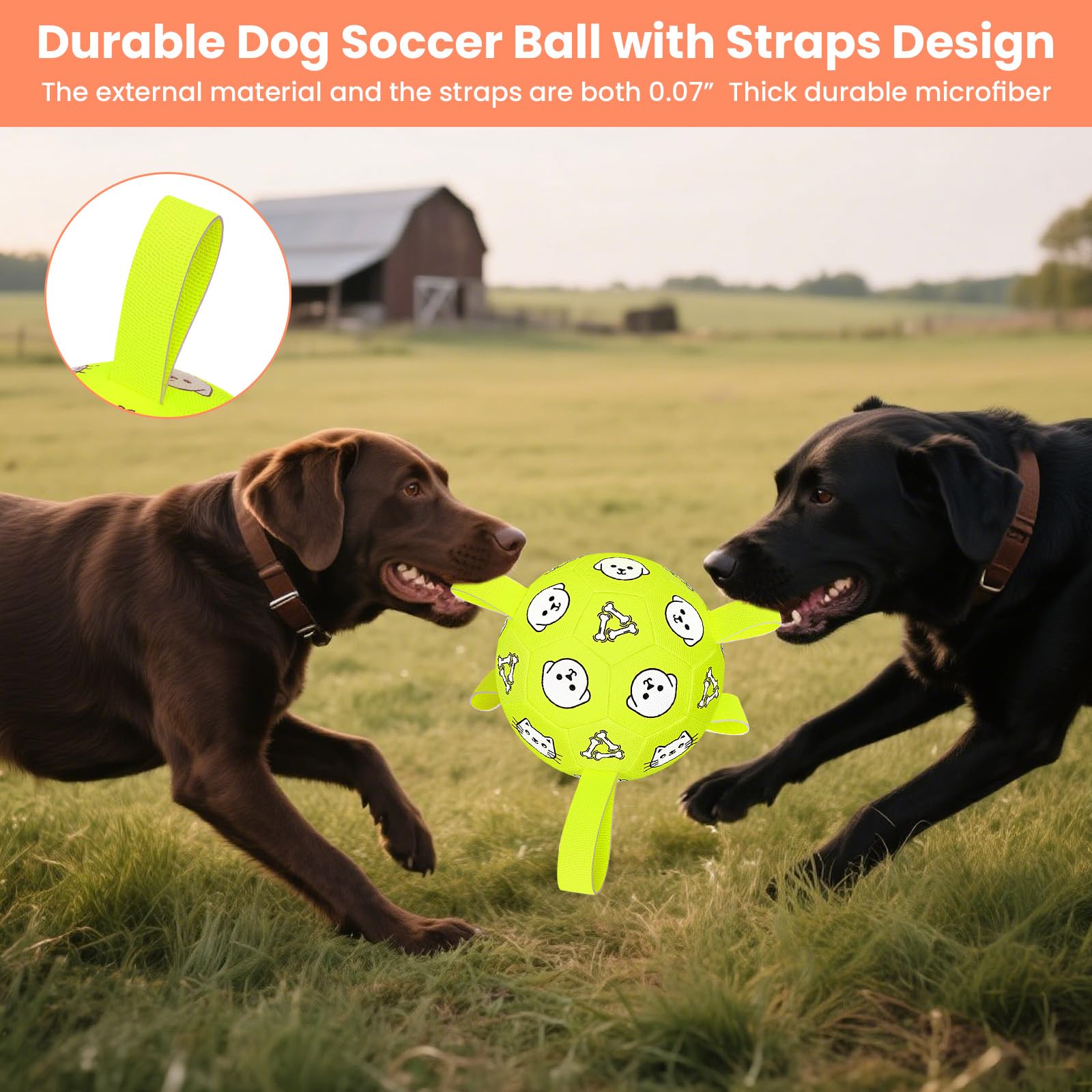 WYNTRIUM ball in bright colors for high visibility during outdoor games.