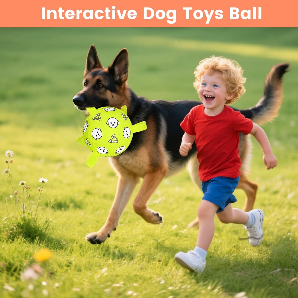 WYNTRIUM interactive toy boosts family bonding through fetch moments.