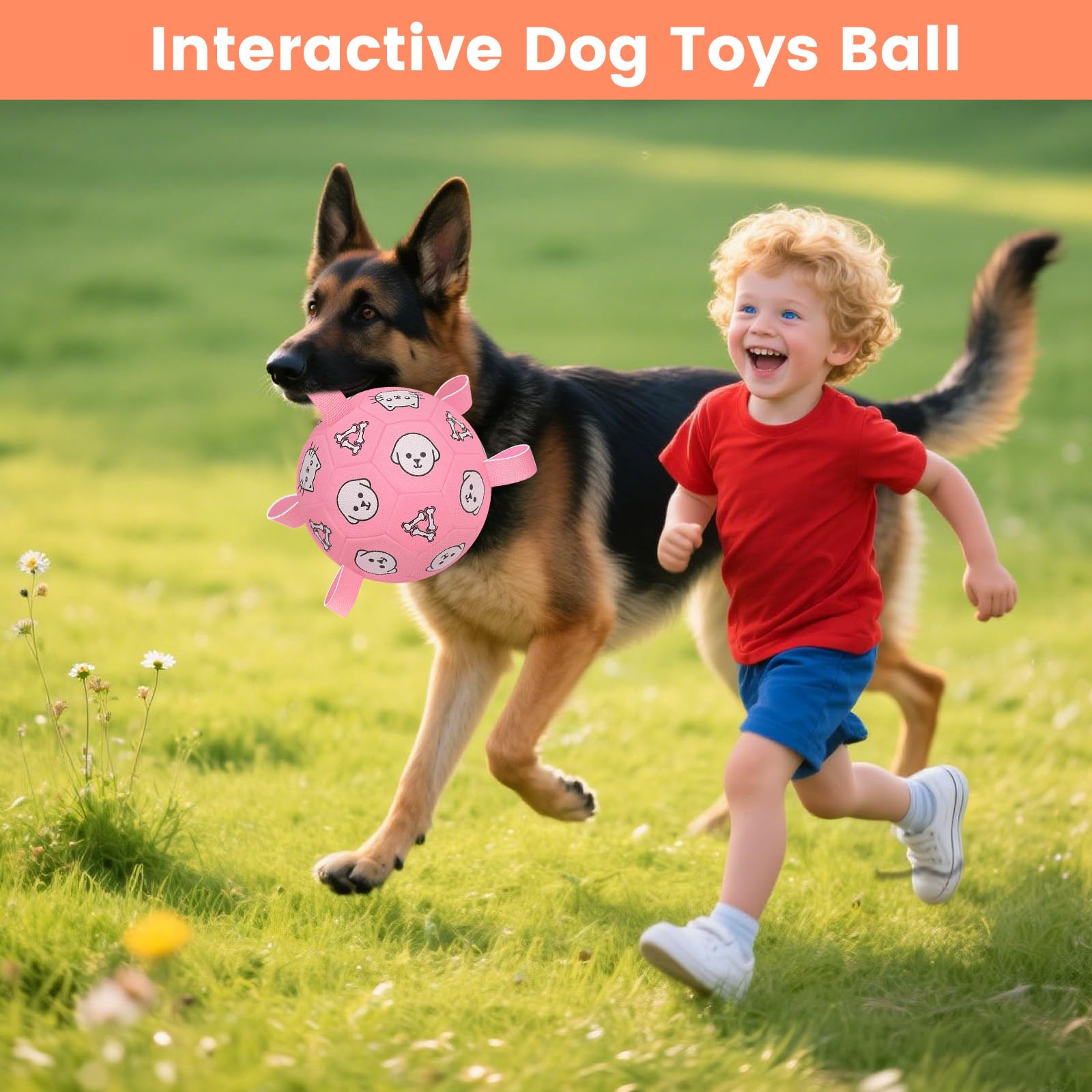 WYNTRIUM dog soccer ball indoor-outdoor use in family settings