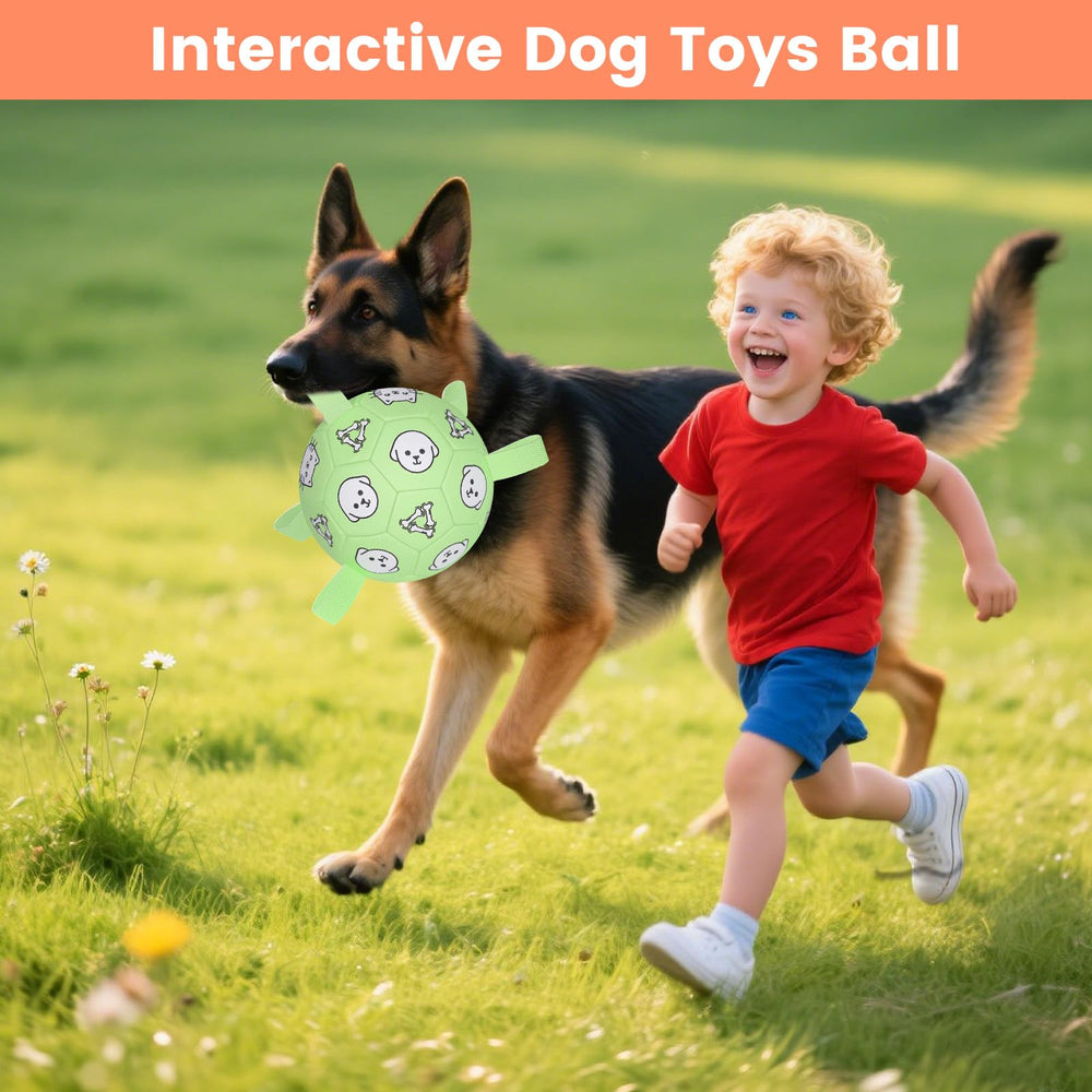 WYNTRIUM ball makes a gift for large dogs