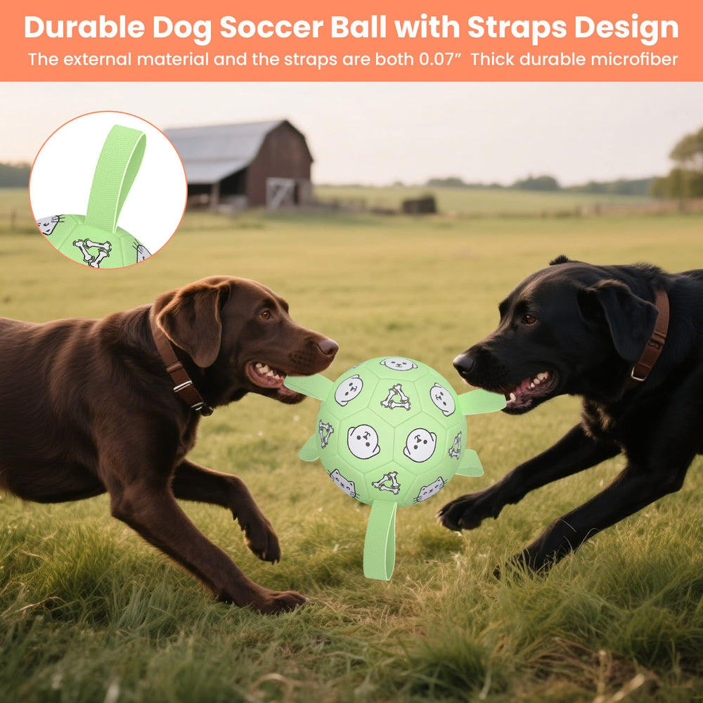 WYNTRIUM ball prints in bright colors attract dogs and kids