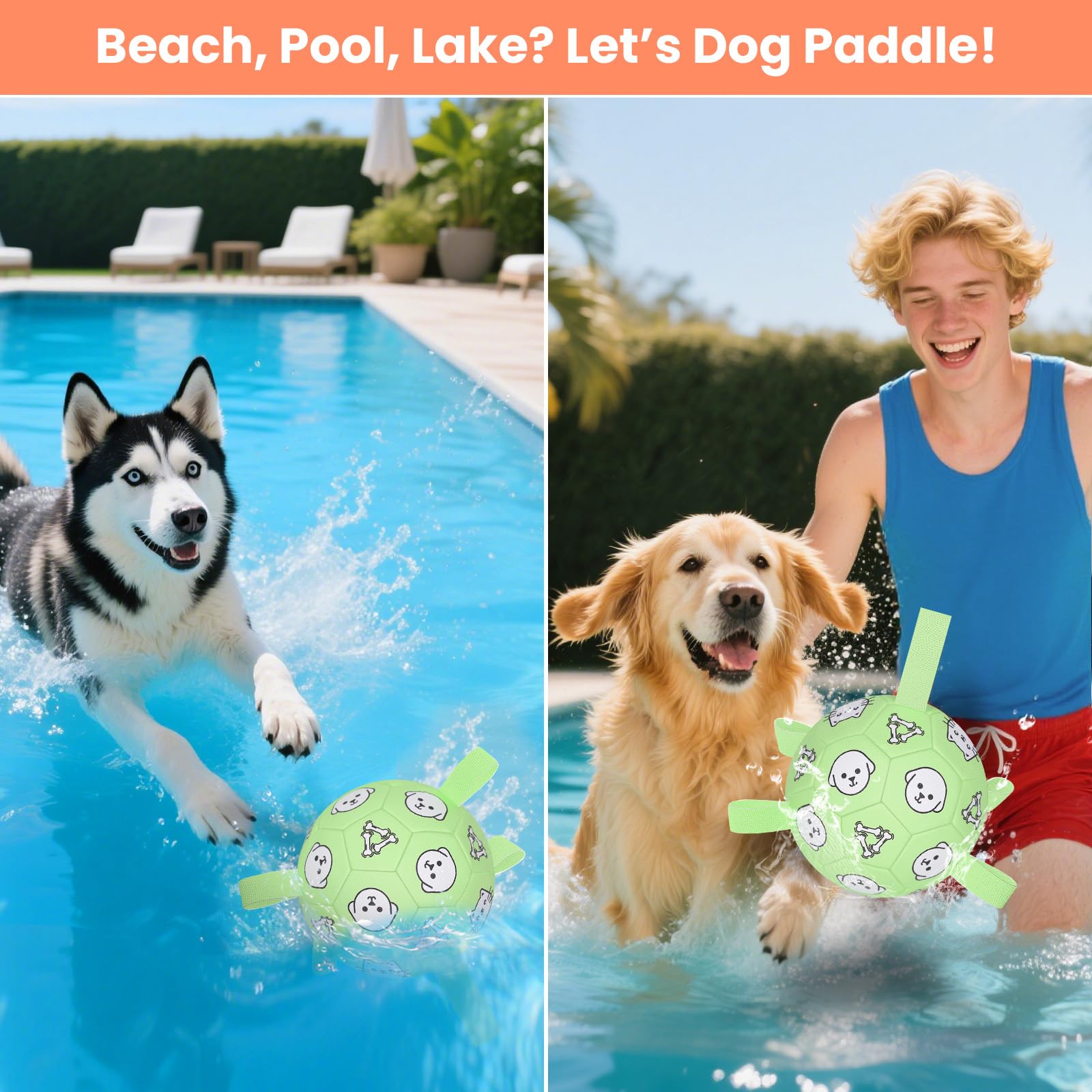 WYNTRIUM ideal for small to medium dogs