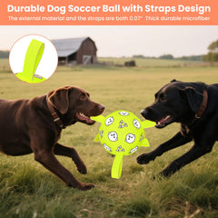 WYNTRIUM water-floating dog ball for pool and beach adventures