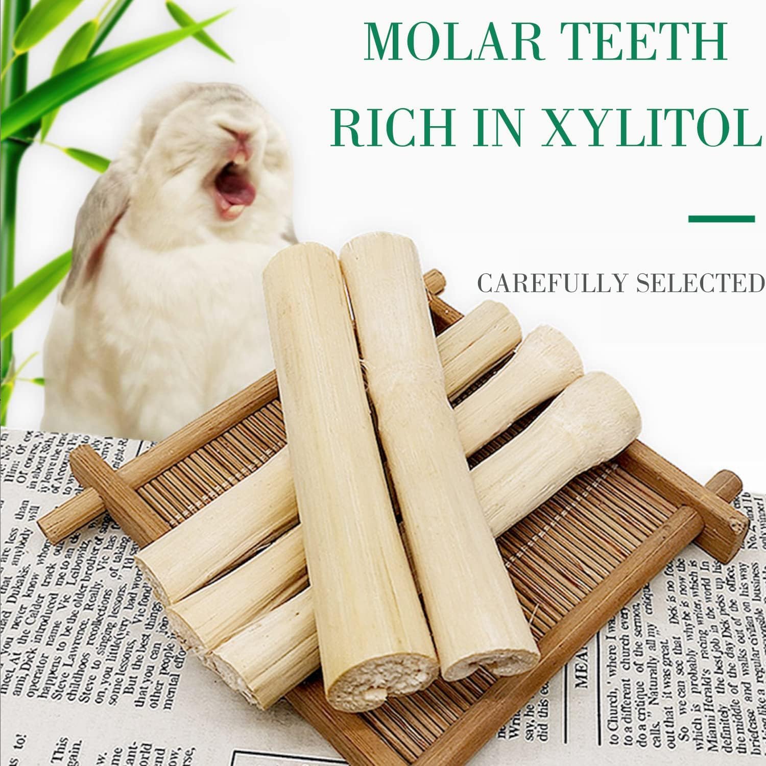 WYOMER rodent-parrot chew-compatible visuals show versatile use across small pets.