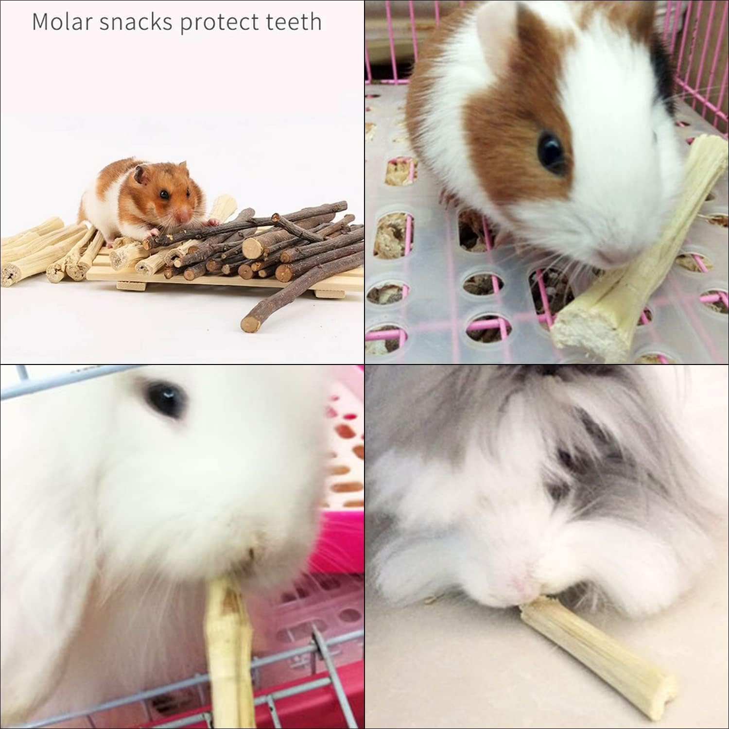WYOMER small-pets durable chew toy demonstrates long-lasting enrichment for guinea pigs, rabbits, hamsters.