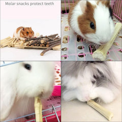 WYOMER small-pets durable chew toy demonstrates long-lasting enrichment for guinea pigs, rabbits, hamsters.