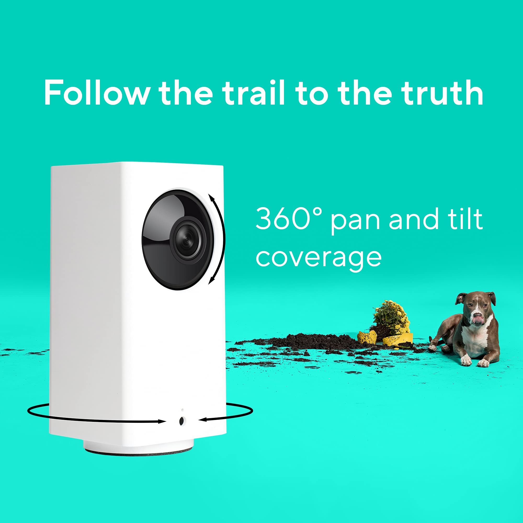 Wyze Cam Pan v2 1080p live stream delivers clear footage for review.