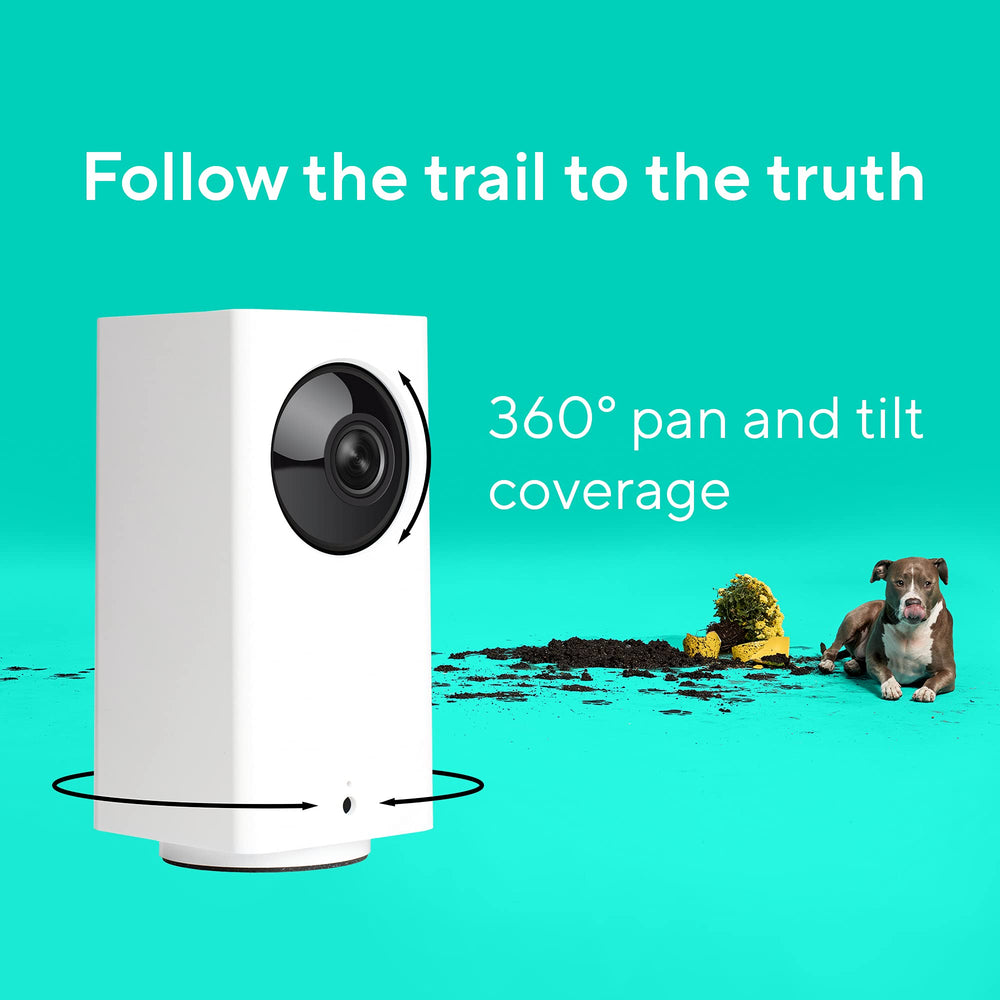 Wyze Cam Pan v2 1080p live stream delivers clear footage for review.