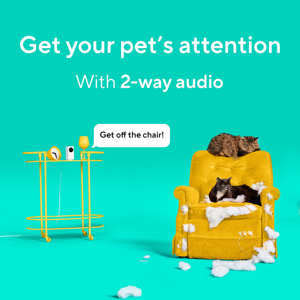 Wyze Cam Pan v2 predefined waypoints enable automated room scouting.