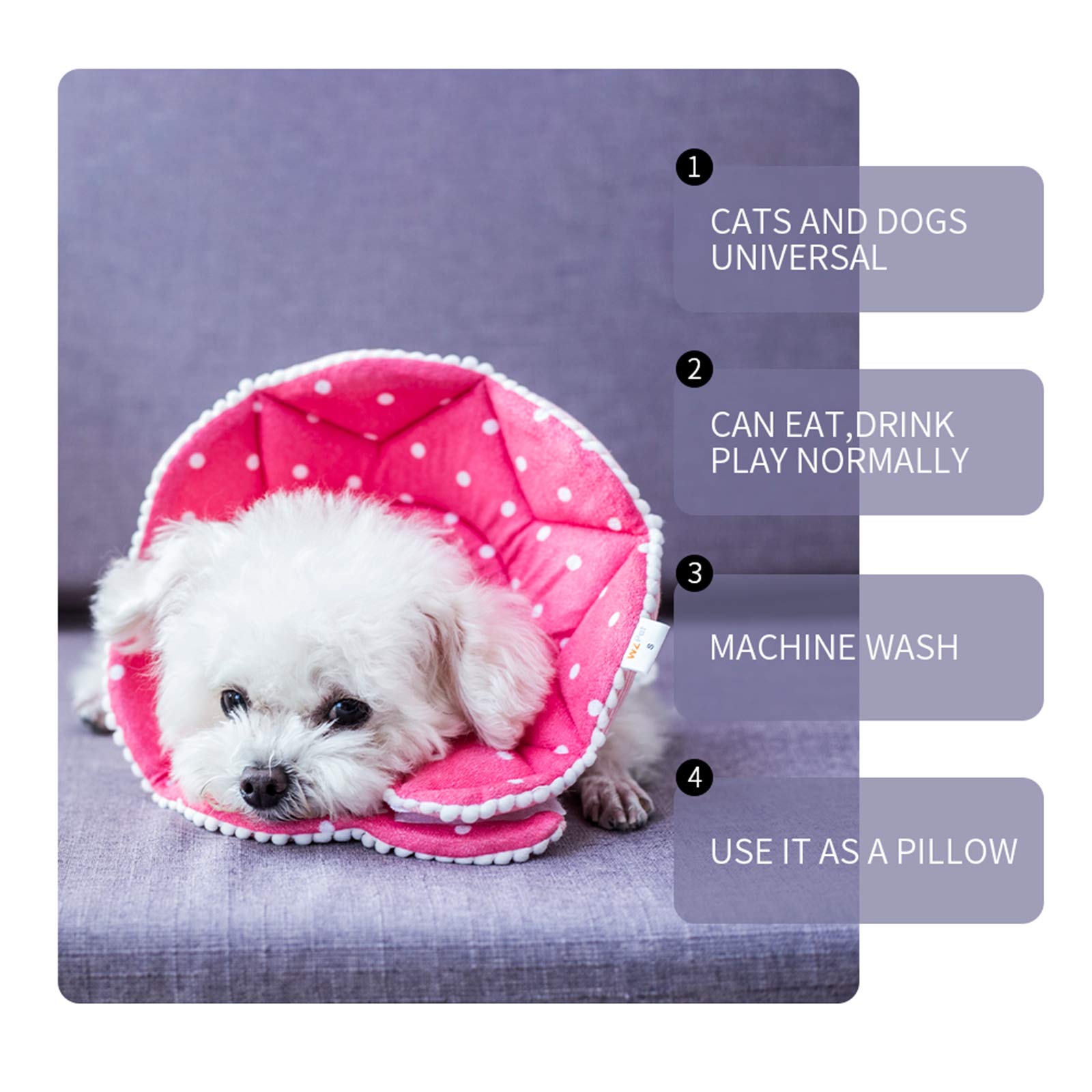 WZ PET cone used for bath cleaning and pruning, protecting wounds.