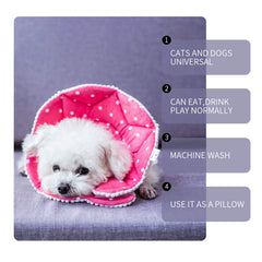 WZ PET cone used for bath cleaning and pruning, protecting wounds.