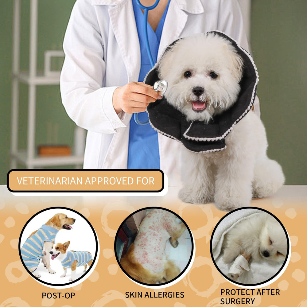 WZ PET durable washable cone for repeated use.