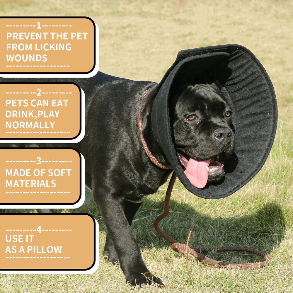 WZ PET cat cone allows eating, drinking, and play while protecting wounds.