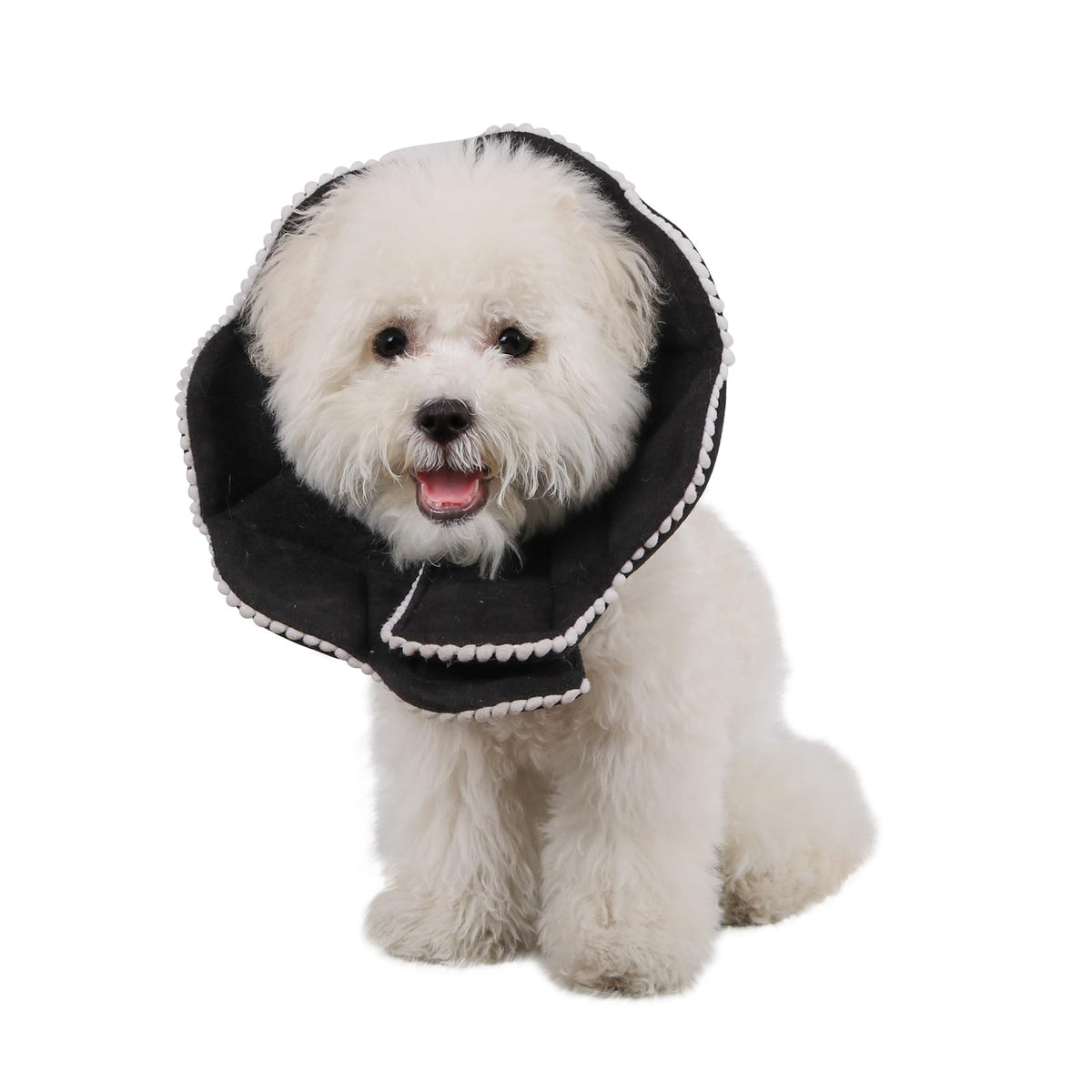 WZ PET cat recovery cone with adjustable neck strap for secure fit.