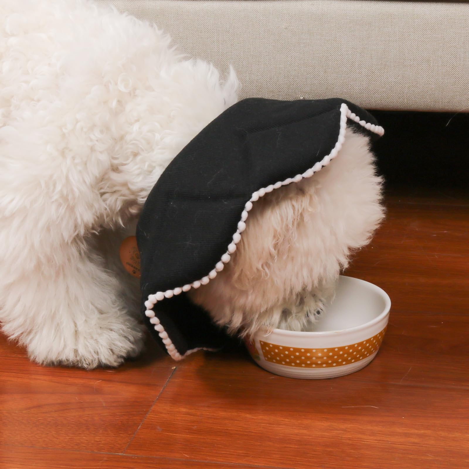WZ PET foldable cone stores compactly when not in use.